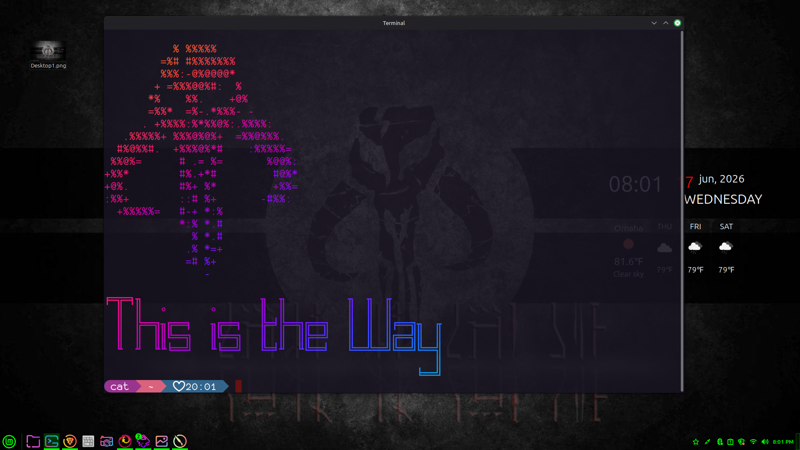 BashTerminal1